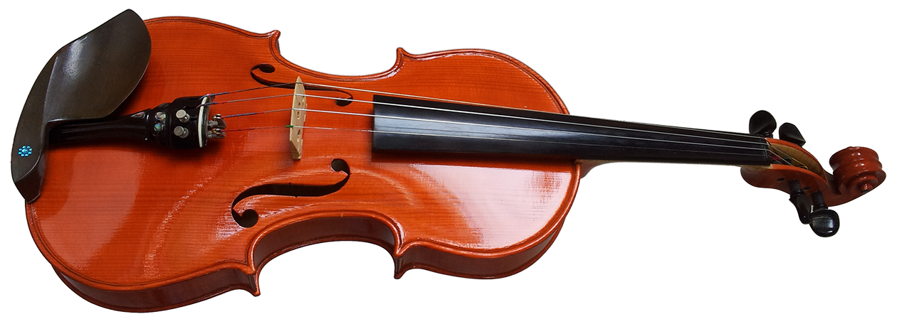 Violina 3